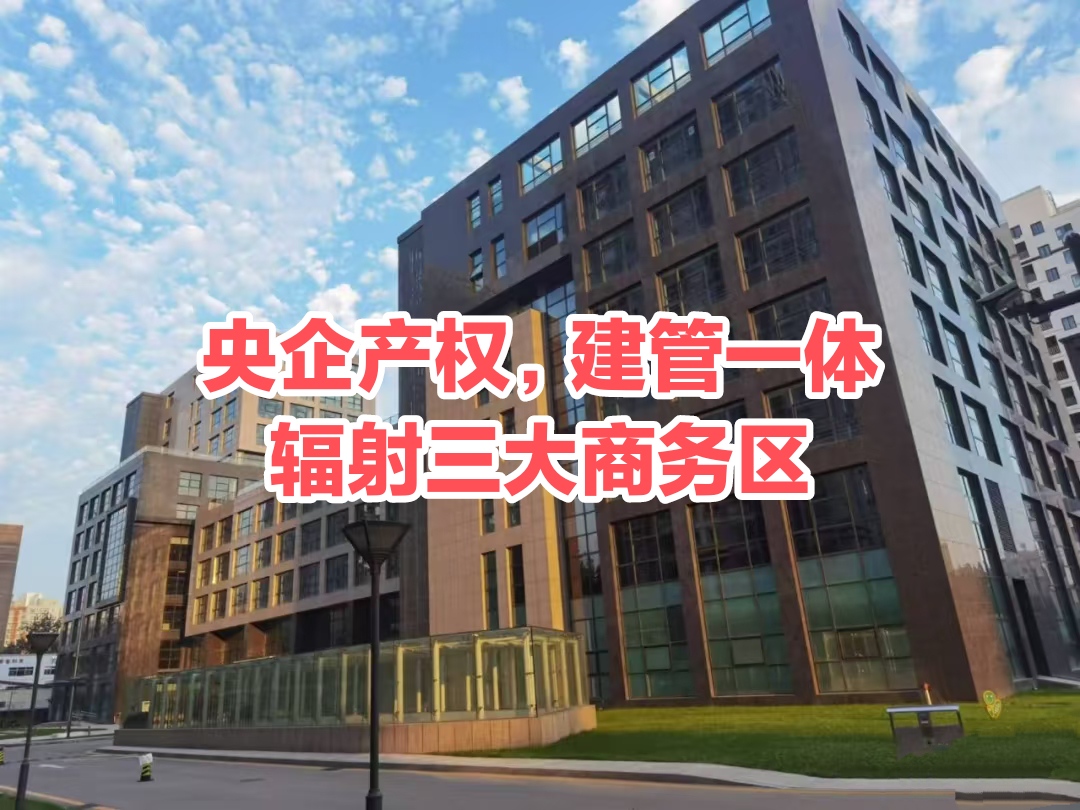 北京金苑大厦：BC座科研楼租金/户型/入驻优惠政策全指南