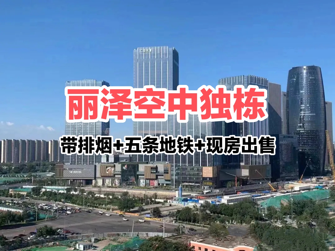 丽泽空中独栋现房出售：10000㎡带排烟+五条地铁+全现房交付
