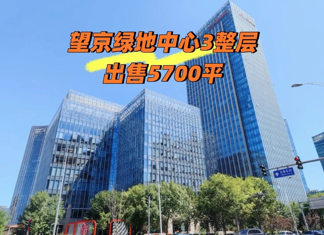 望京绿地中心出售:3个整层共5700平米,甲方急售可谈